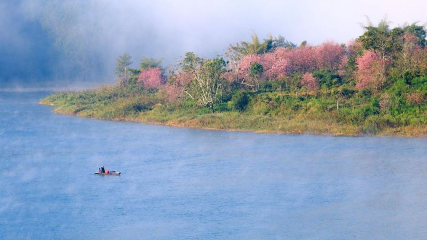 Tuyen Lam Lake