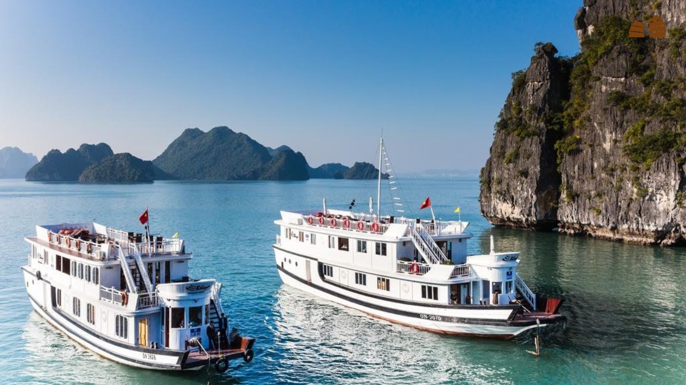 High Standard Bhaya Halong Bay Overnight Cruise