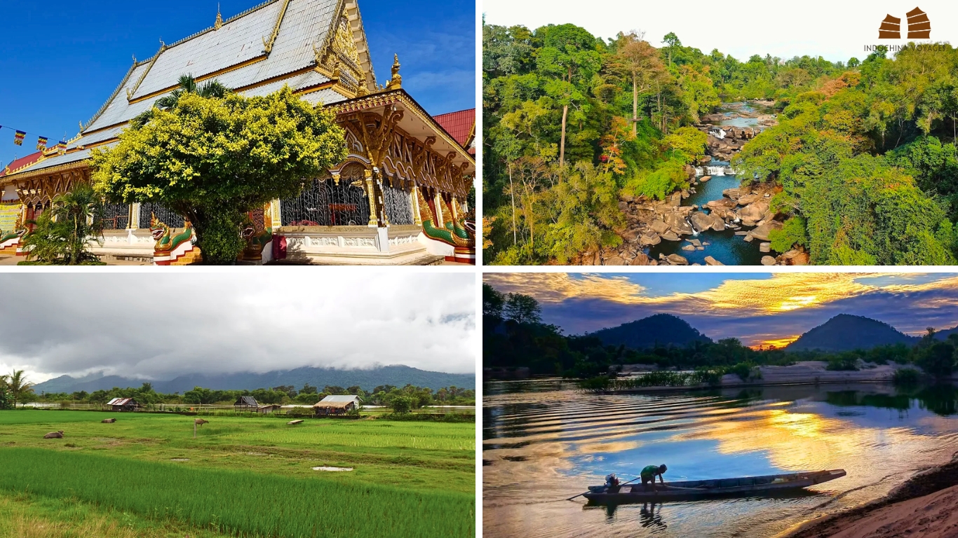 Golden roofed temple in Southern Laos
Rocky river and waterfall through the Bolaven Plateau forest
Buffalo grazing on green rice fields in rural Southern Laos
Longtail boat on the Mekong River at sunset near Si Phan Don