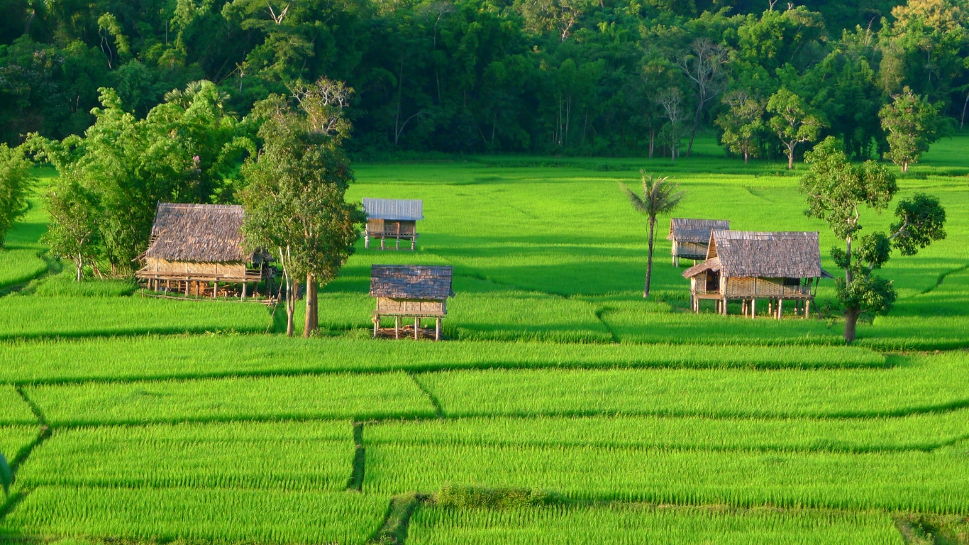 Tranquil Muang La for off the beaten track experience (Image: InsideAsia Tour)