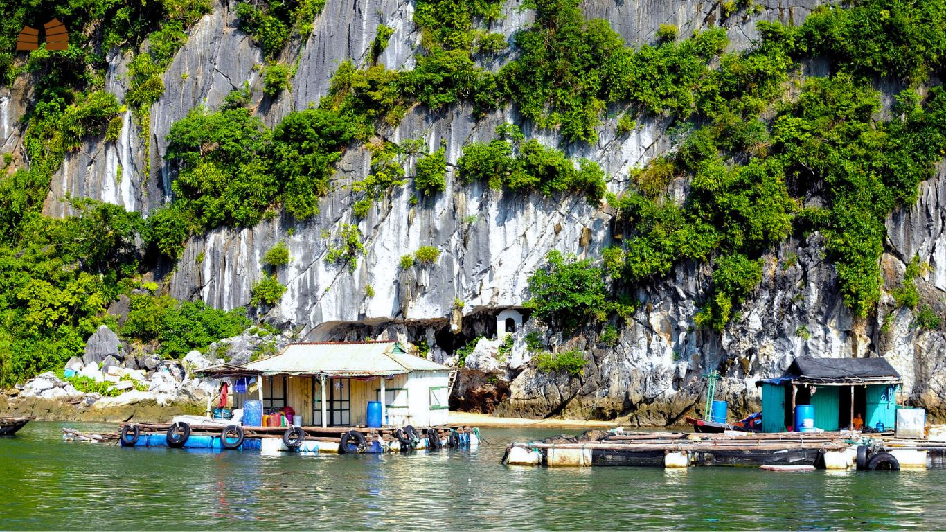 Halong bay floating farms