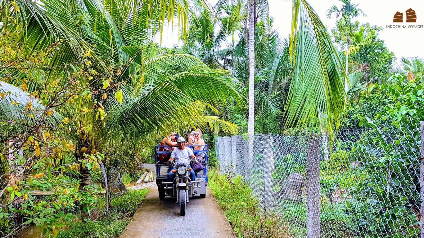 ride motor cart to explore the authentic mekong delta