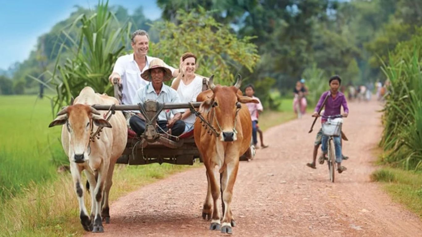 riding Oxcart at Siem Reap