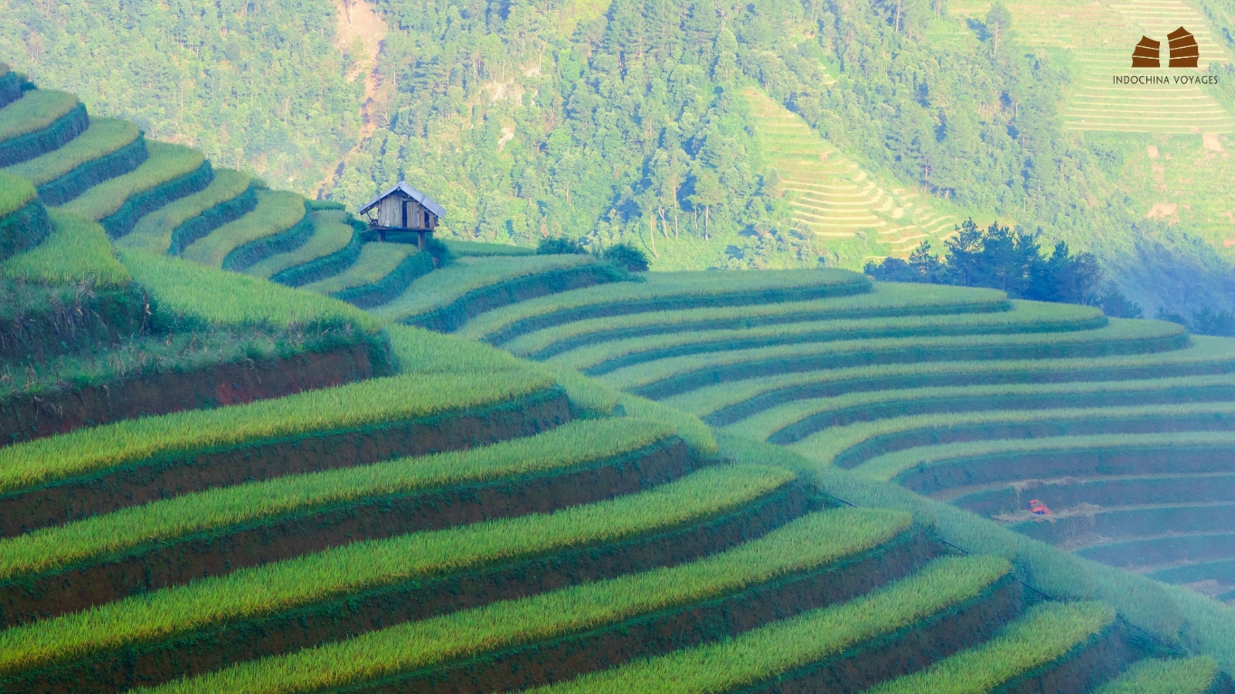 Peaceful Vietnam Landscape