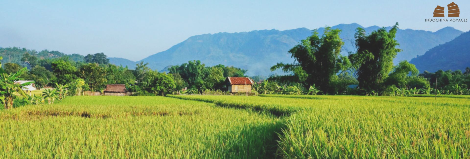 Is it wise to travel to Vietnam in June? Places to visit & Travel tips