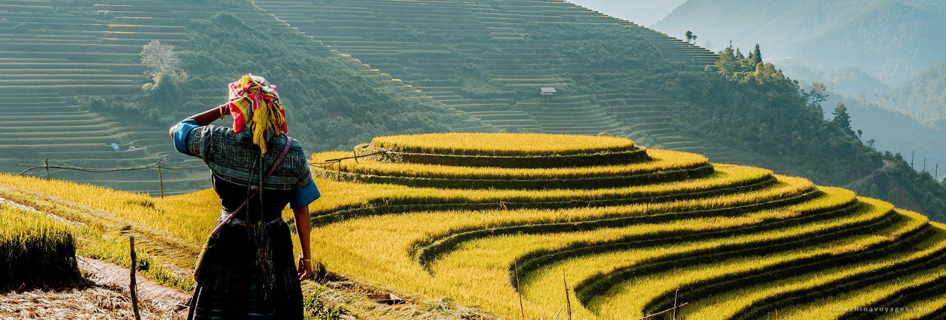 How to Plan a Trip to Vietnam? Insider Tips for an Authentic Experience