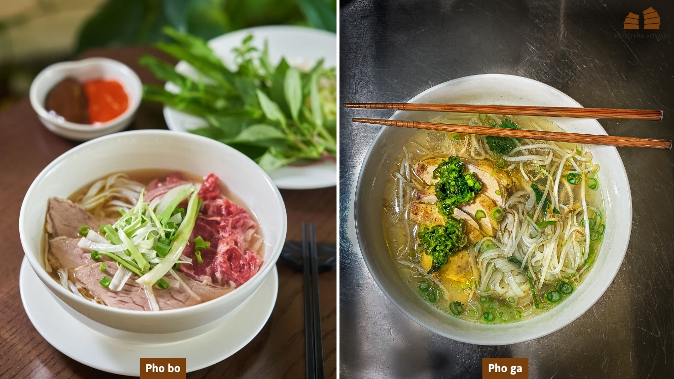 Bowls of pho bo with sliced beef and pho ga with chicken and scallions, served for breakfast in Hanoi