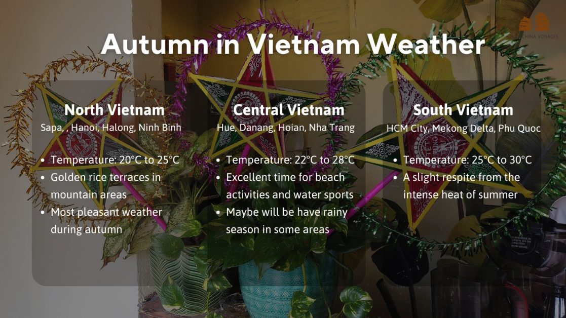 Why Should I Definitely Plan a Trip to Visit Autumn in Vietnam?