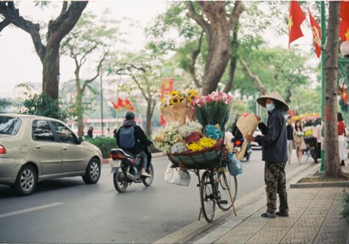 When to Go to Vietnam from Australia: Weather & School Holiday Guide [Updated 2026]