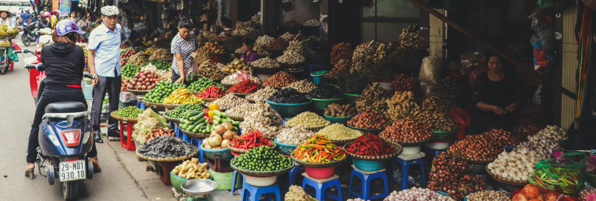 When to Go to Vietnam from Australia: Weather & School Holiday Guide [Updated 2026]