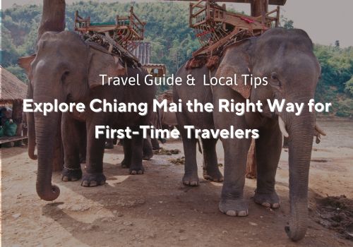 Chiang Mai Ultimate Travel Guide for First-Time Visitors
