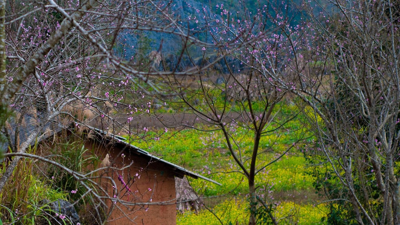 Nothern Vietnam during Tet holiday