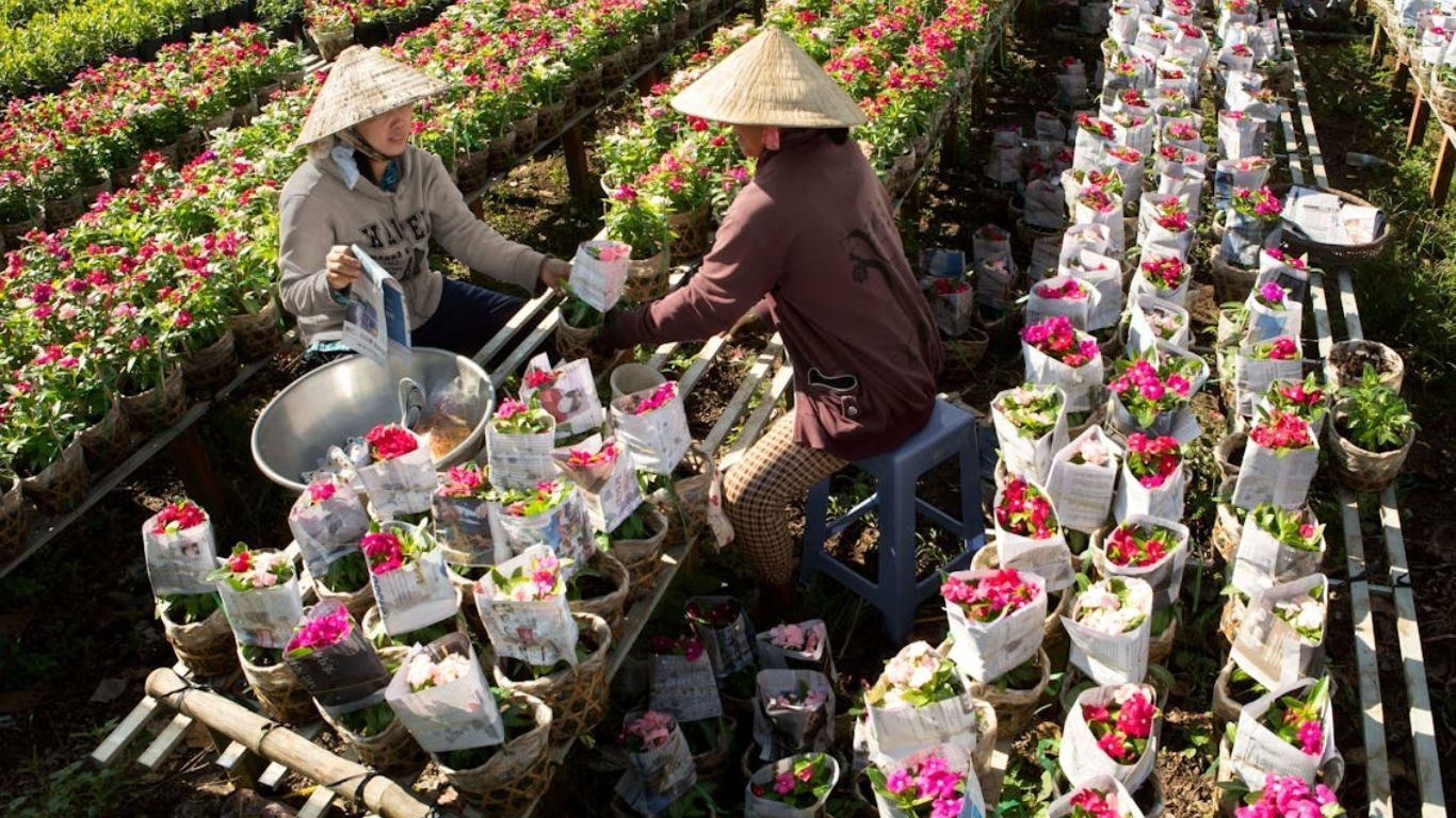 Ready to Experience Vietnam with Complete Confidence