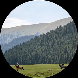 Excellent. First choice for traveling in Asia