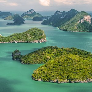 Unmatched Service & Trust – Ask for An Hoang!