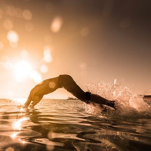 An incredible journey