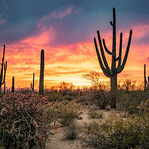 Worry-Free Travel and Wonderful Memories in Vietnam