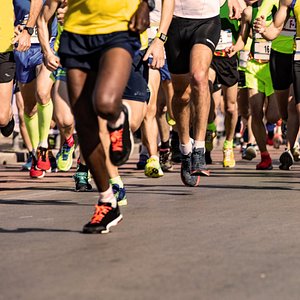 Feel Mekong Delta life