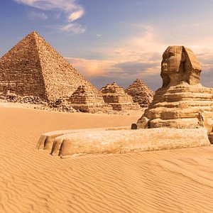 Best Tour Guide Experience