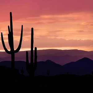 Great Trip with Indochina Voyages!