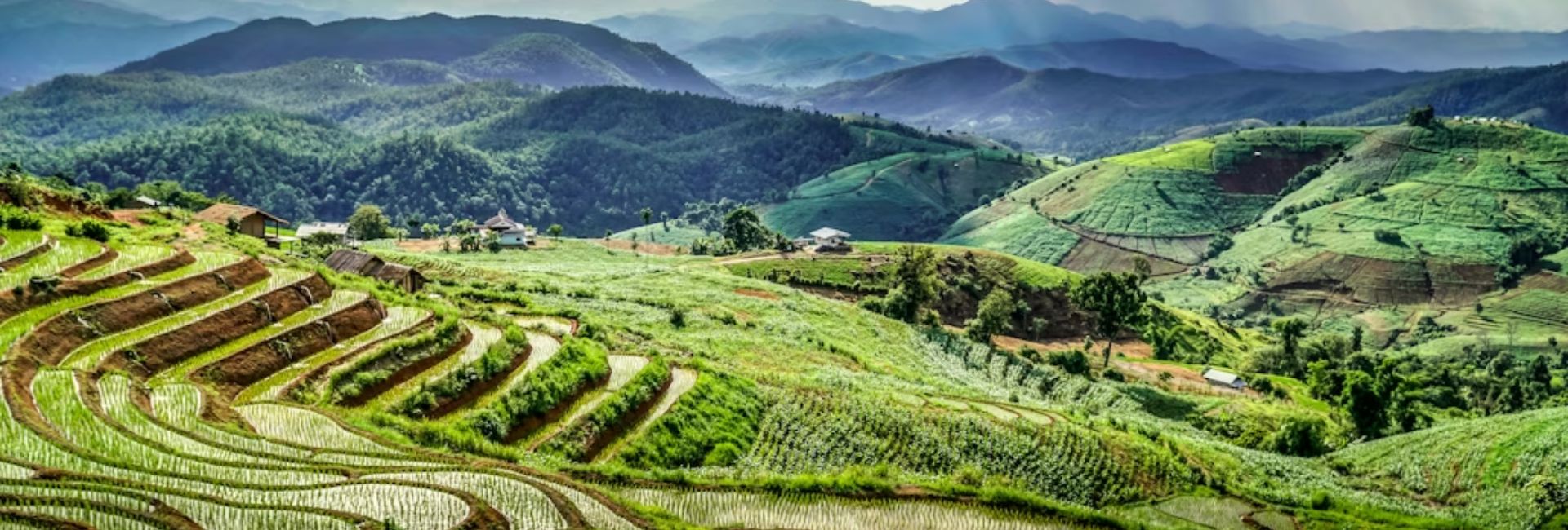 Chiang Mai in March: Weather & Travel Guide to Plan Your Perfect Trip in 2026