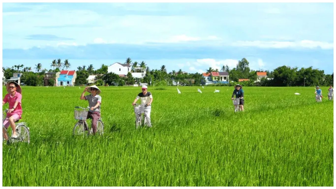 Cycling Through Rice Paddies in Hoi An