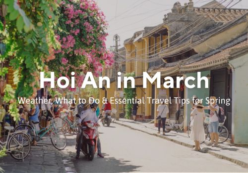 Hoi An in March: Complete Travel Guide for Your Perfect Visit