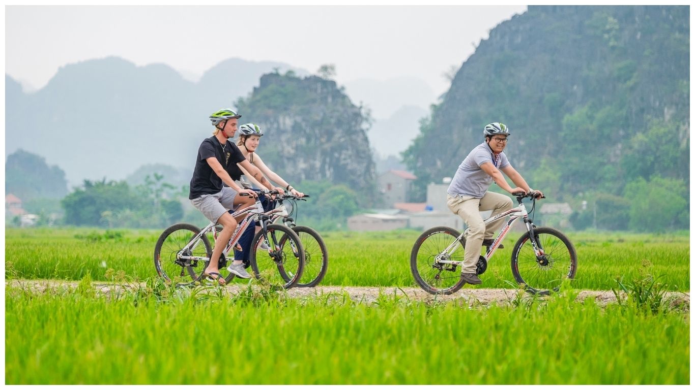 Cycling Through Green Rice FIelds in Ninh Binh