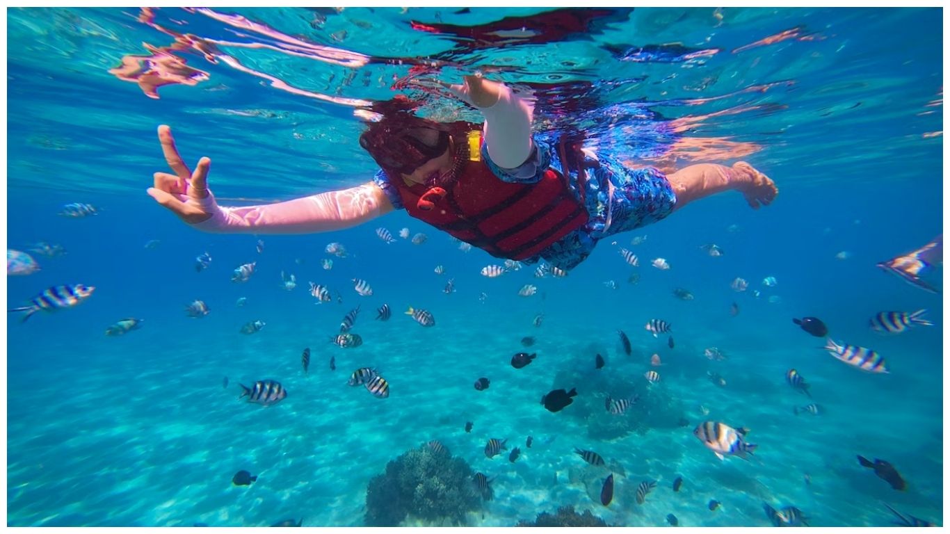 A person snorkeling in clear blue water surrounded by tropical fish in Nha Trang, Vietnam