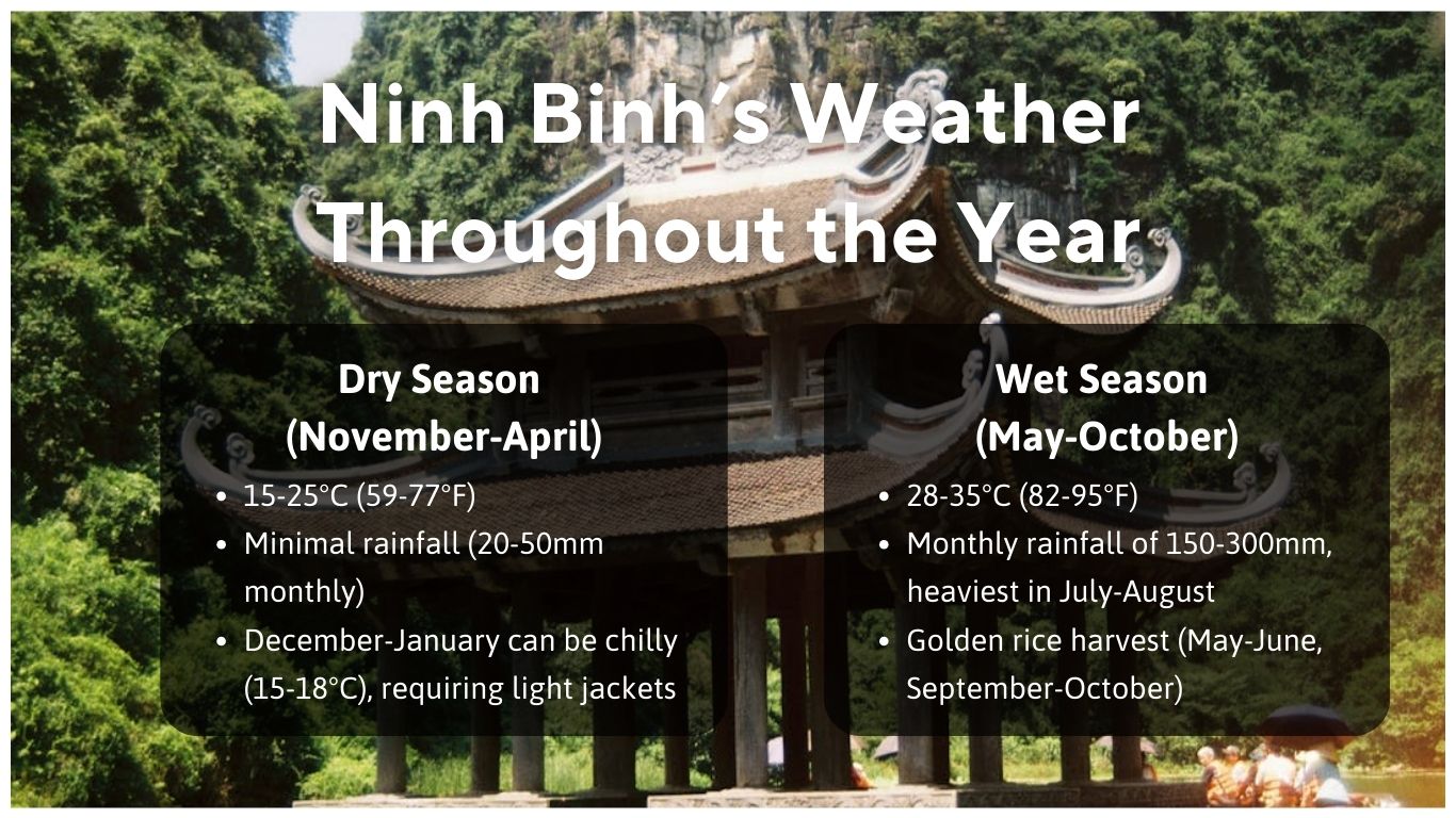 infographic shows what's ninh binh weather like throughout the year