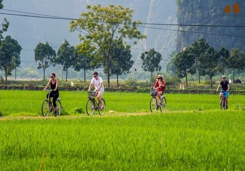 Vietnam Nature & Highlights 12 Days