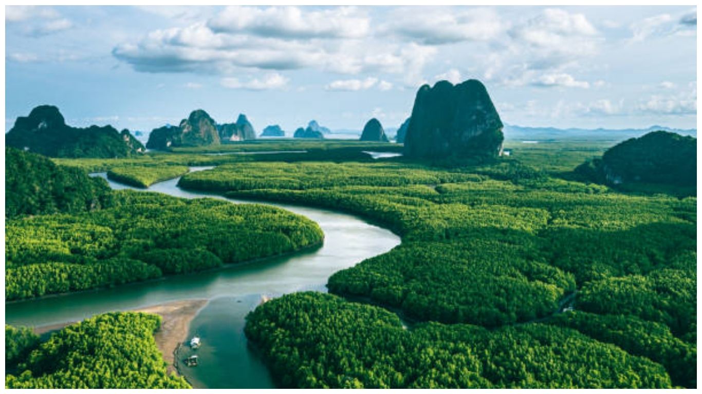 Aerial view of a winding river through lush mangrove forests and limestone karsts in Phang Nga Bay, representing the natural beauty of August in Thailand