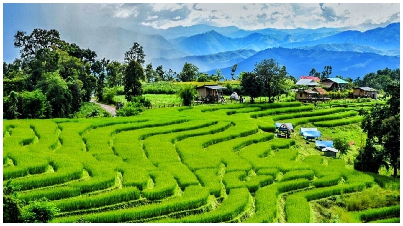 Lush green rice terraces in the mountains of Northern Thailand during the monsoon season, illustrating the natural beauty of visiting Thailand in July