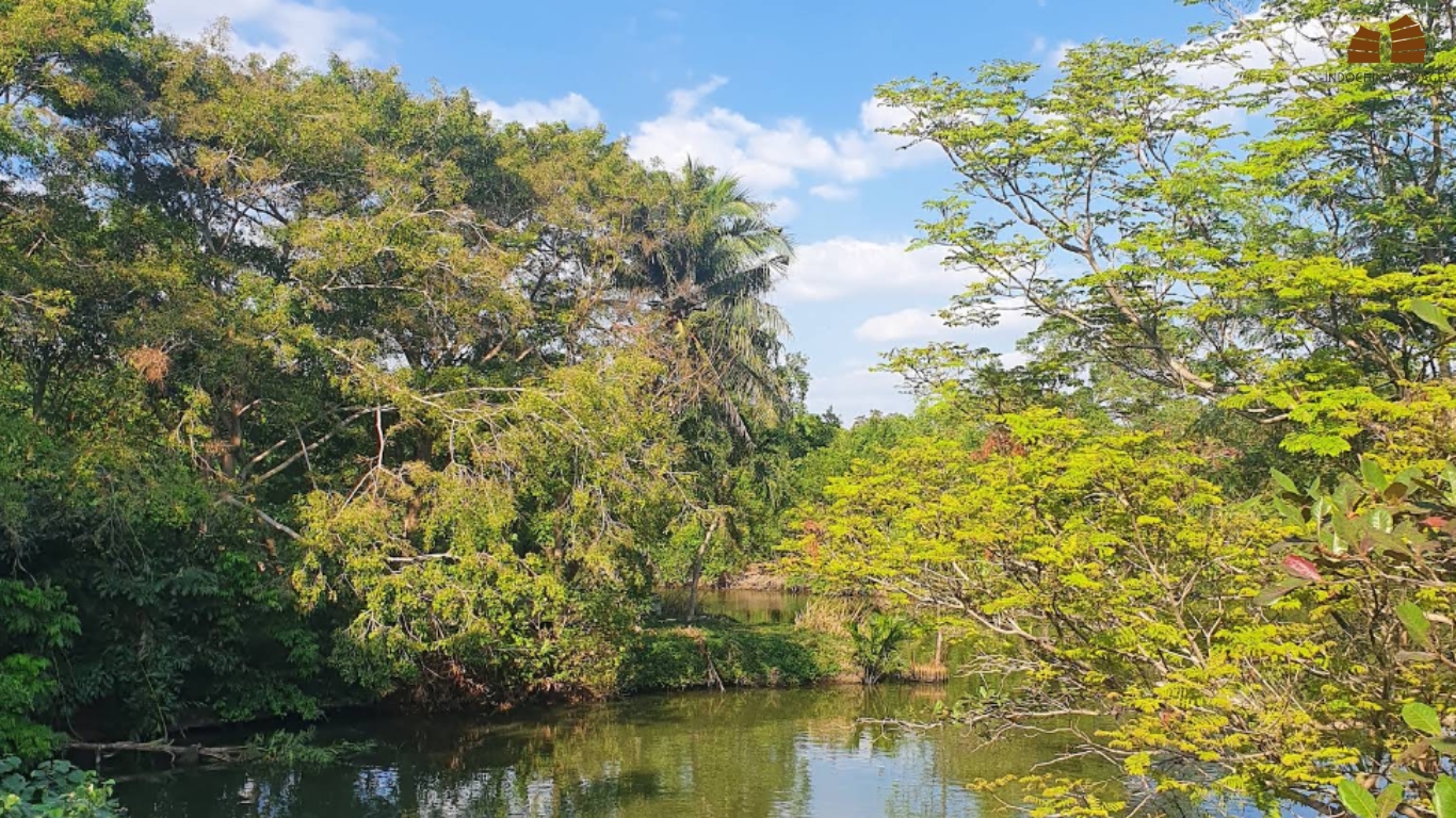 Bang Krachao green area in Bangkok with tropical trees framing a calm waterway