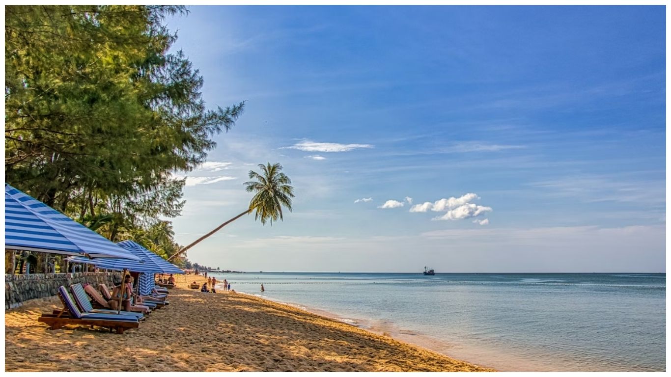 Best time to visit Phu Quoc featuring golden sand, blue waters, and iconic leaning palm trees under a clear sunny sky