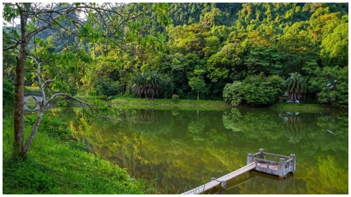 A serene lake reflecting the dense jungle canopy at Cuc Phuong National Park, a must-visit location for eco-friendly day trips from Hanoi, Vietnam