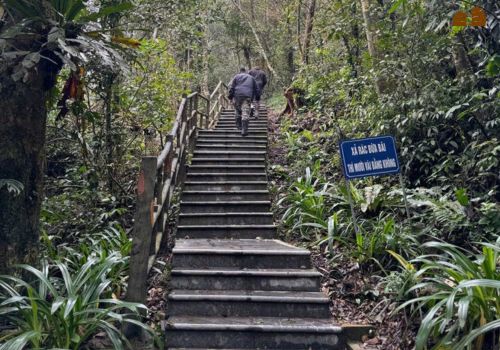 Ba Vi National Park – Duong Lam Ancient Village Day Tour