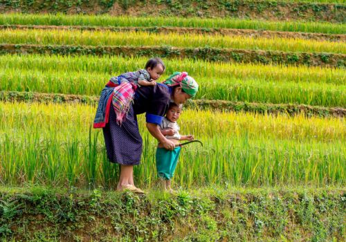 Exploring Sapa 3 Days By Land