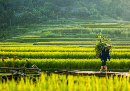 Pu Luong Retreat 3 Days